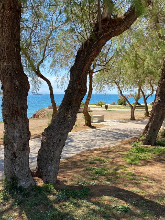 Athens-Riviera Luxury Apartment Sea View Voula 外观 照片
